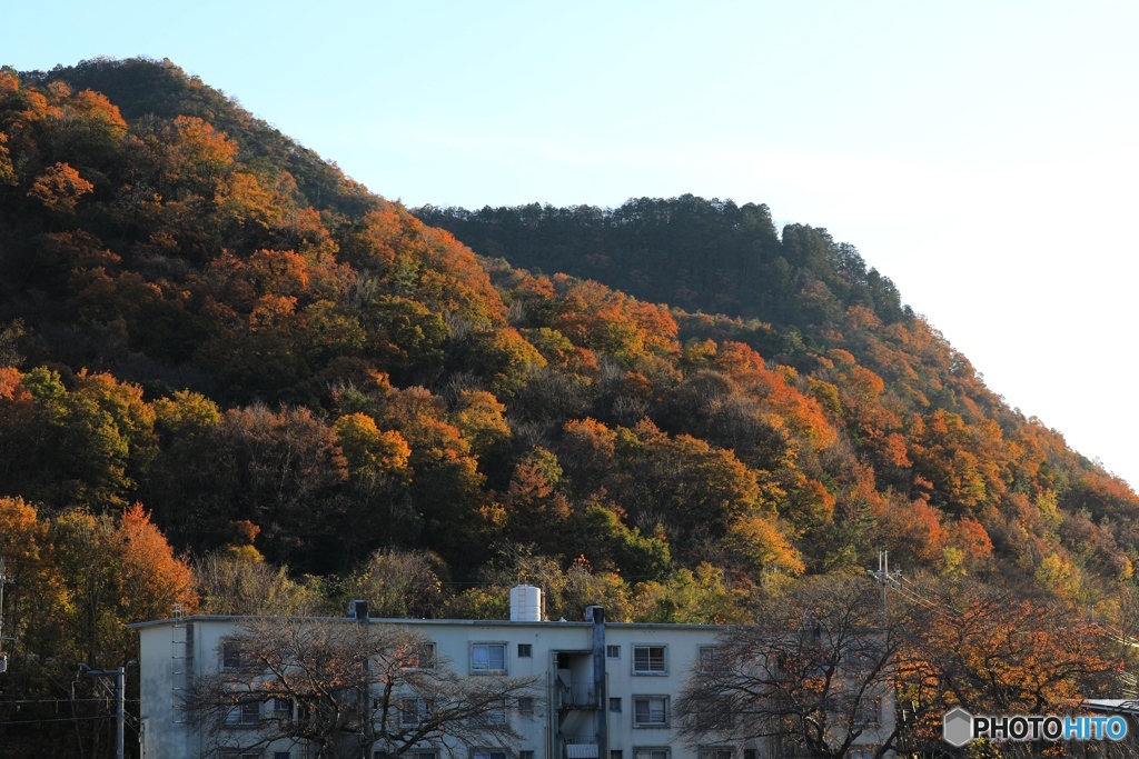迎山秋色　家の近くで