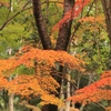 播磨中央公園にて４