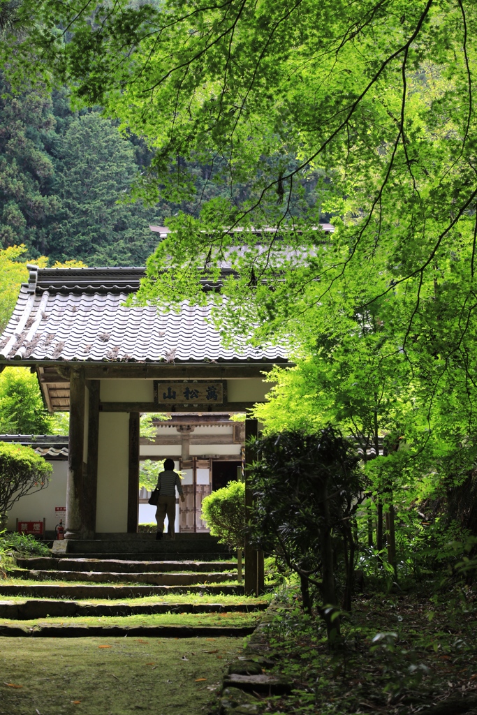 慧日寺にて１