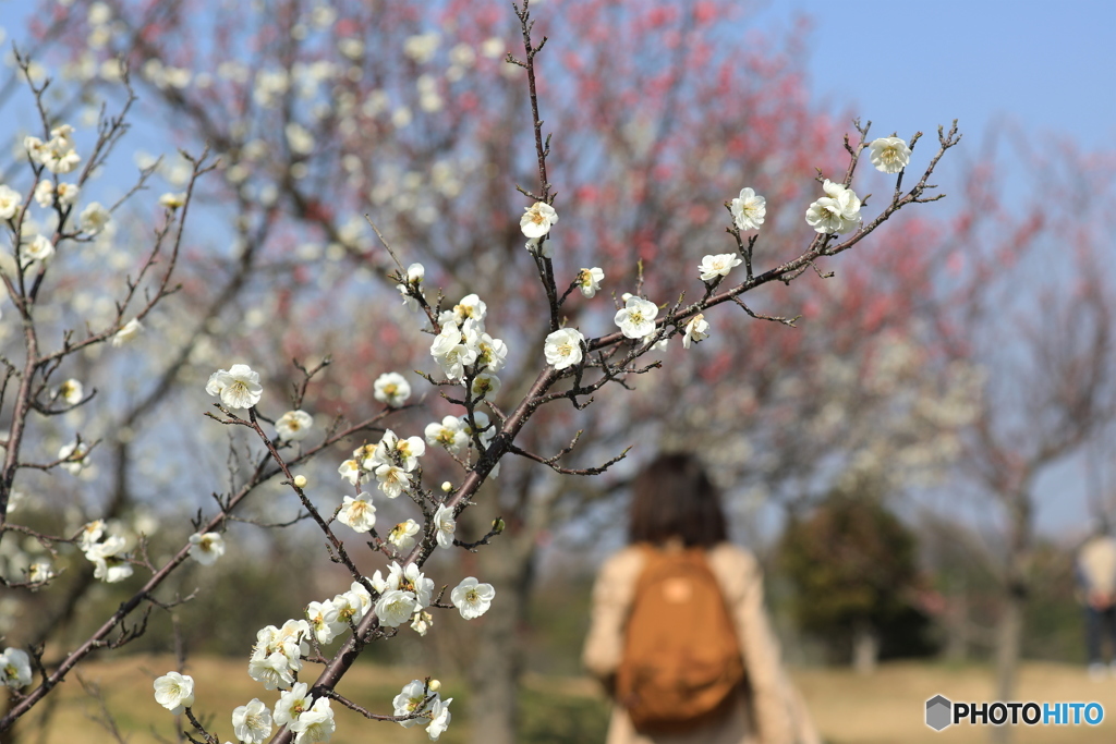 三木市　コープこうべ協同学苑にて