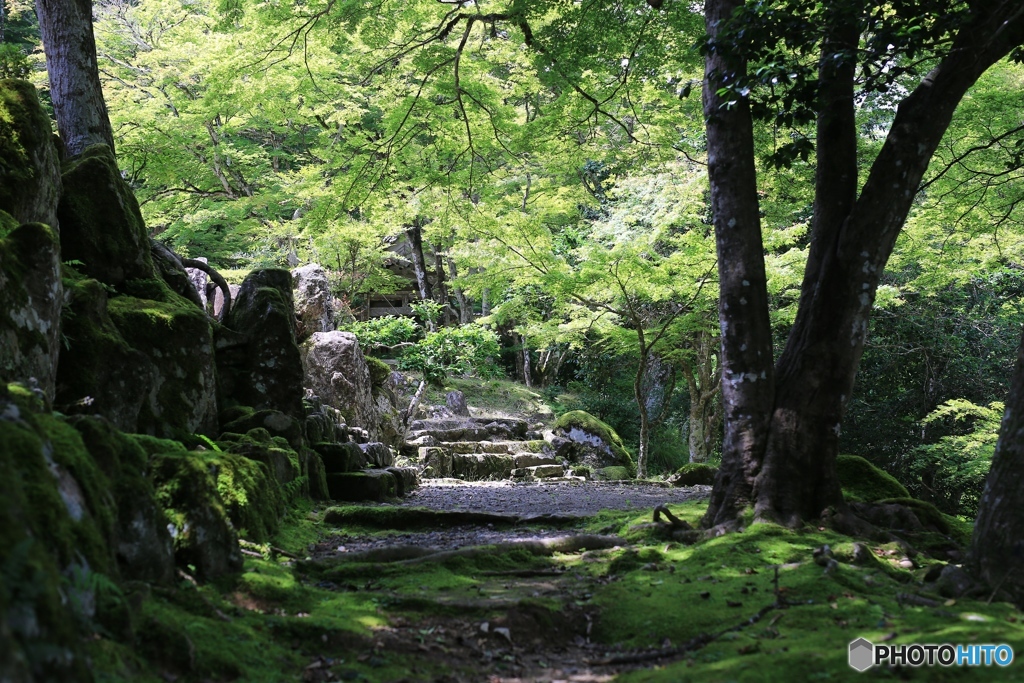 高源寺にて４