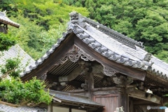 加西市　奥山寺にて４