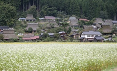 かやぶきの里にて