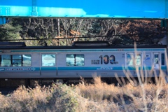 おめでとう100周年　　散歩道にて