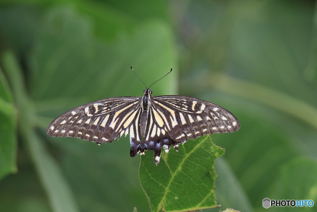 色々ありました
