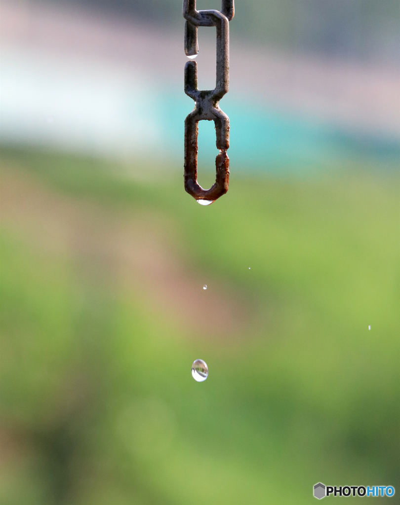 雨の贈り物２