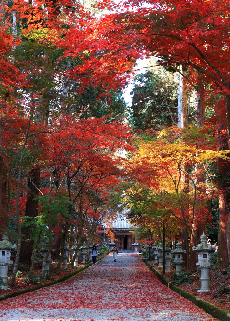 西林寺にて