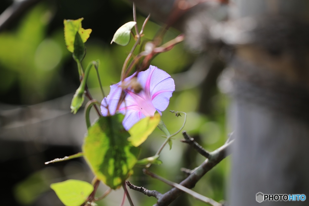 100−400　試し撮り４