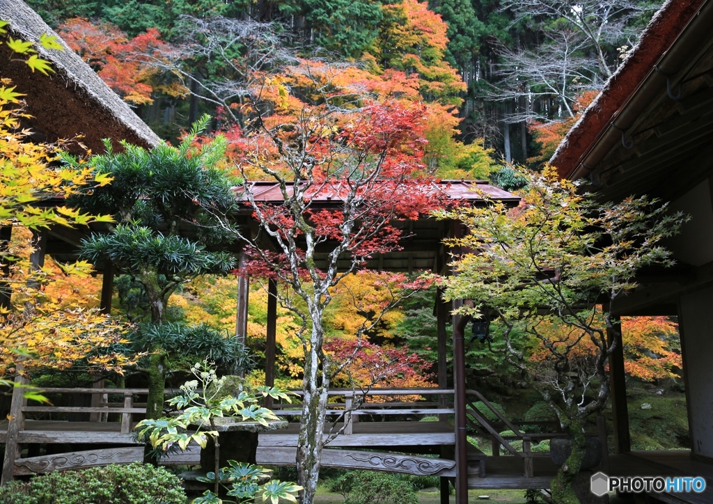 丹波　慧日寺にて１０