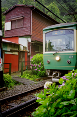 IMGP1282