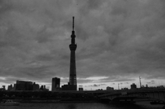 IMGP1365