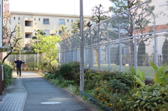 午後の陽気なおじさん