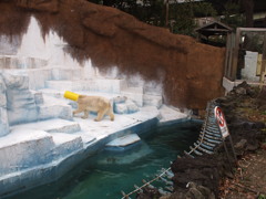 シロクマ２