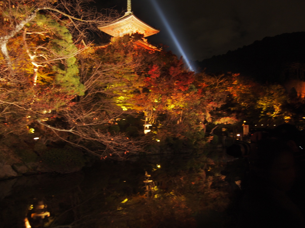 清水寺より