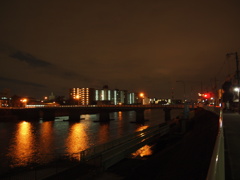 The bridge