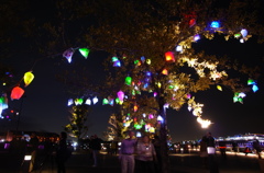 Fantastic Tree