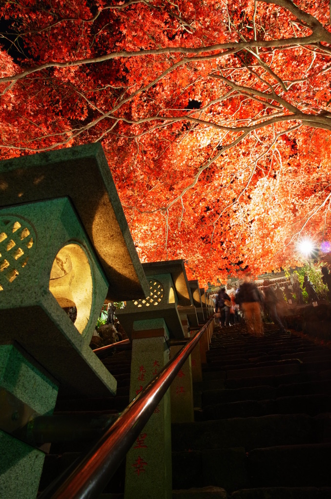 大山寺参道