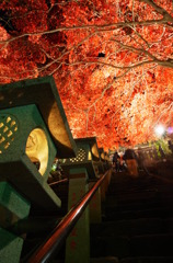 大山寺参道