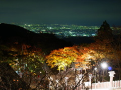 県下一望の夜景