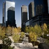 都会の紅葉
