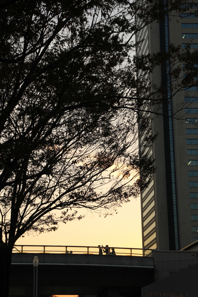 みなとみらいの夕暮れ