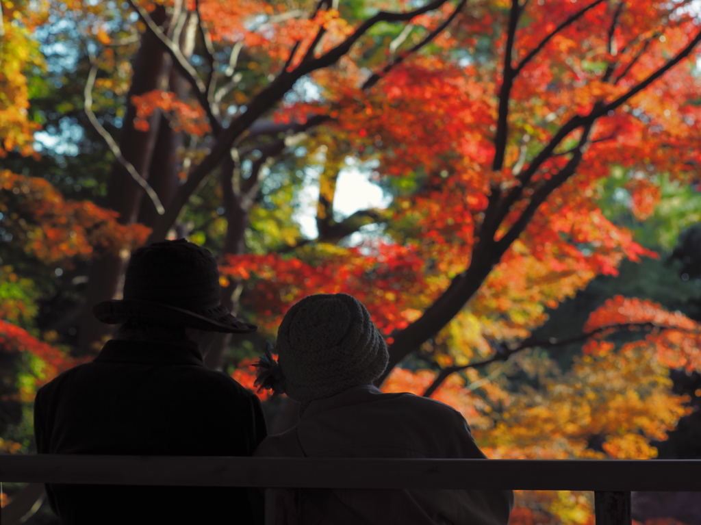 今年も一緒