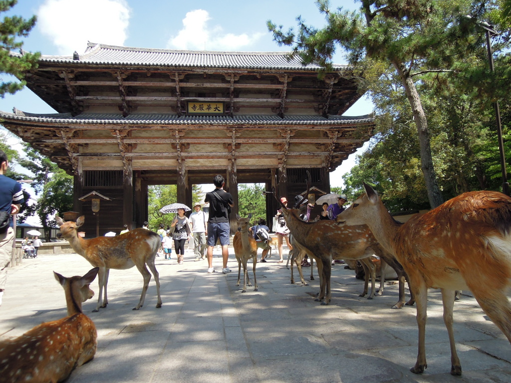 東大寺南大門