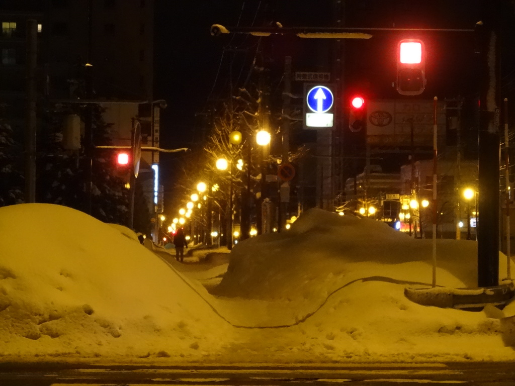 雪景色@札幌