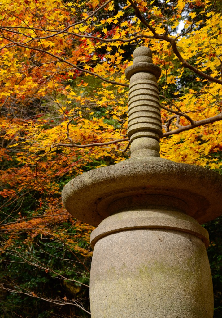 紅葉Ⅰ～高貴寺～