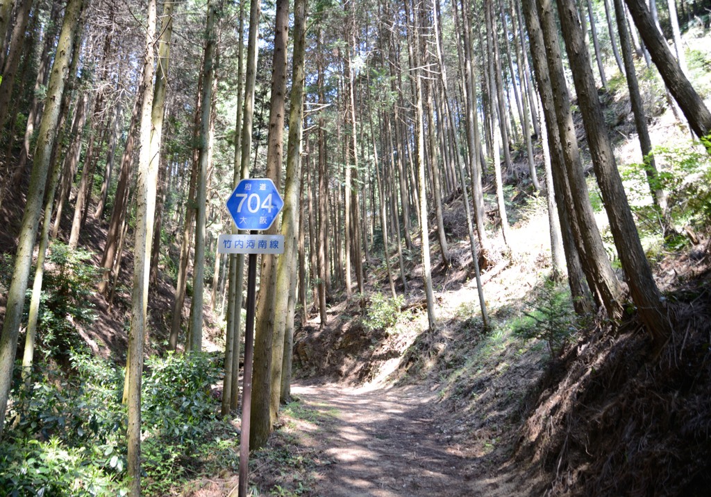 府道704号線