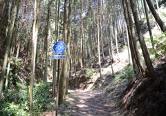 府道704号線