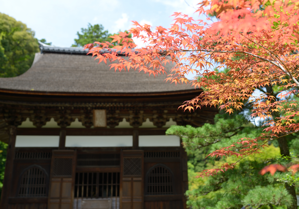 酬恩庵一休寺