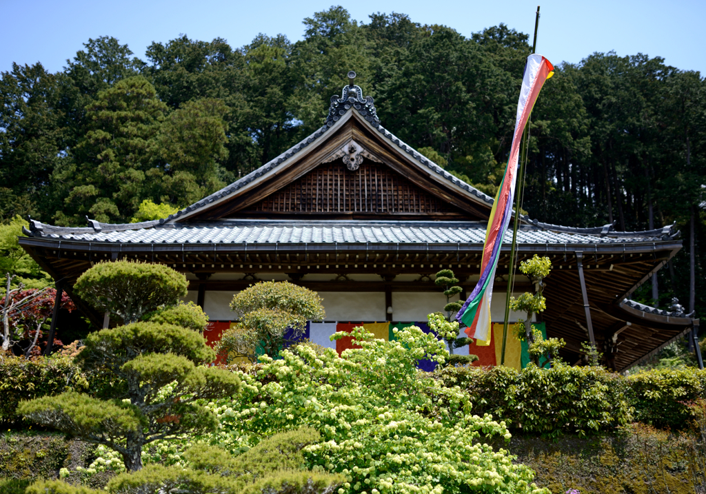 船宿寺