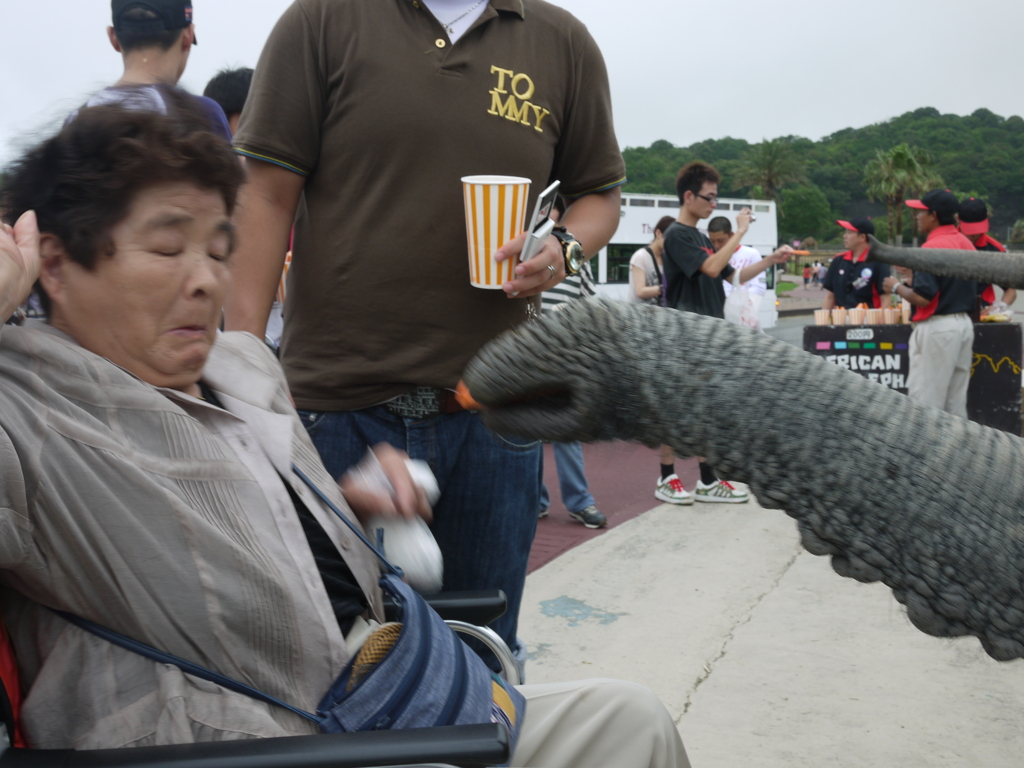 未知との遭遇