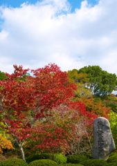 紅葉～歓心寺～