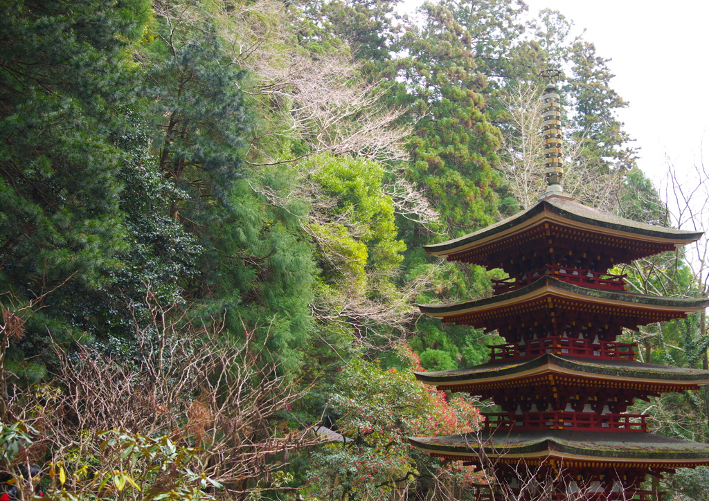 厳～室生寺～
