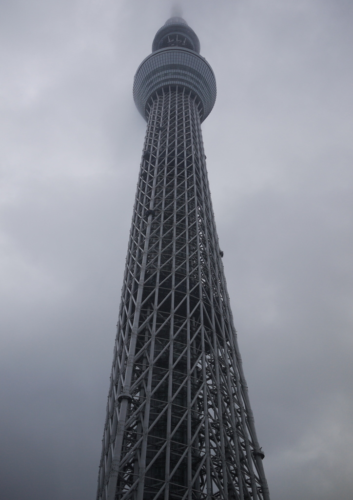 先端クラウドツリー