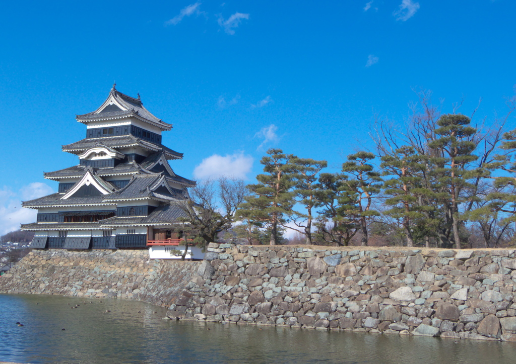 松本城Ⅵ