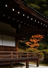 本堂からの紅葉
