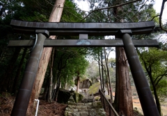 妙見神社の鳥居