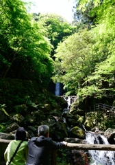 養老の滝