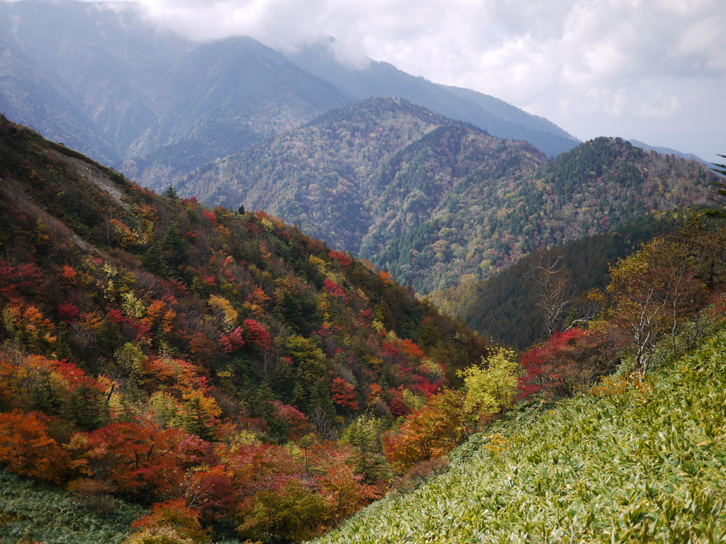 紅葉連山