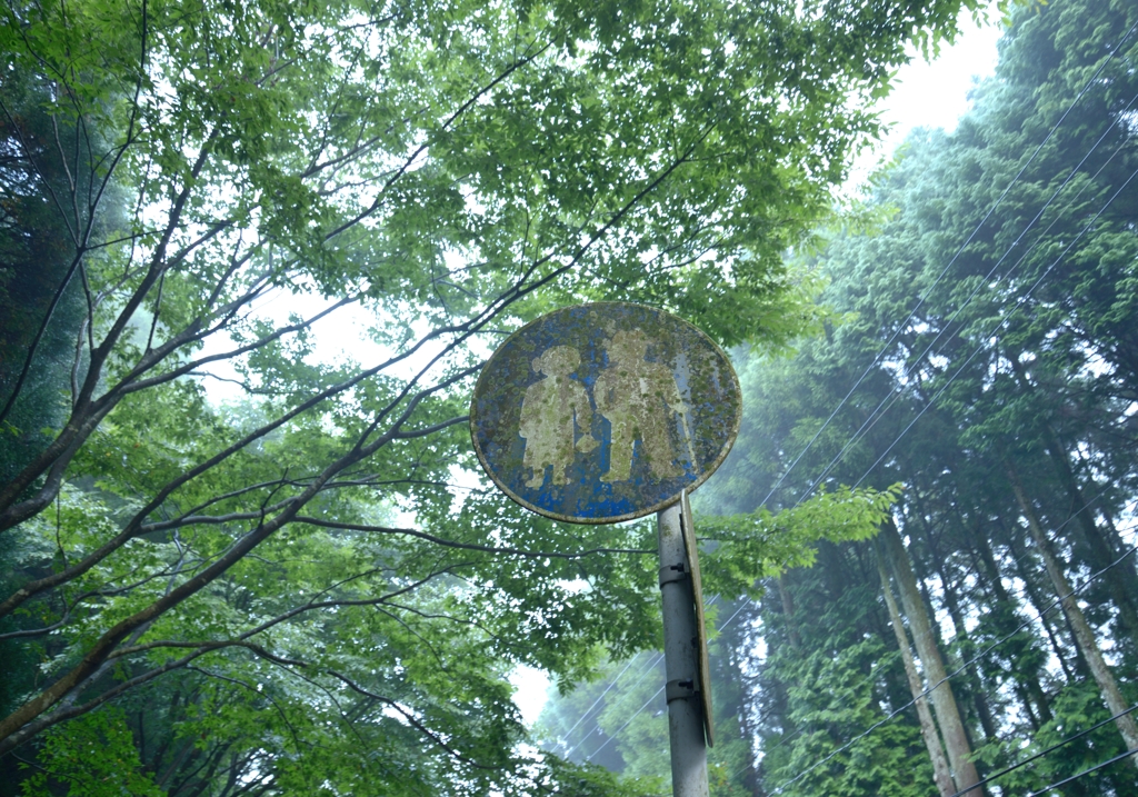 苔生す標識
