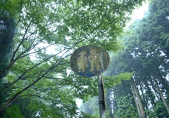 苔生す標識