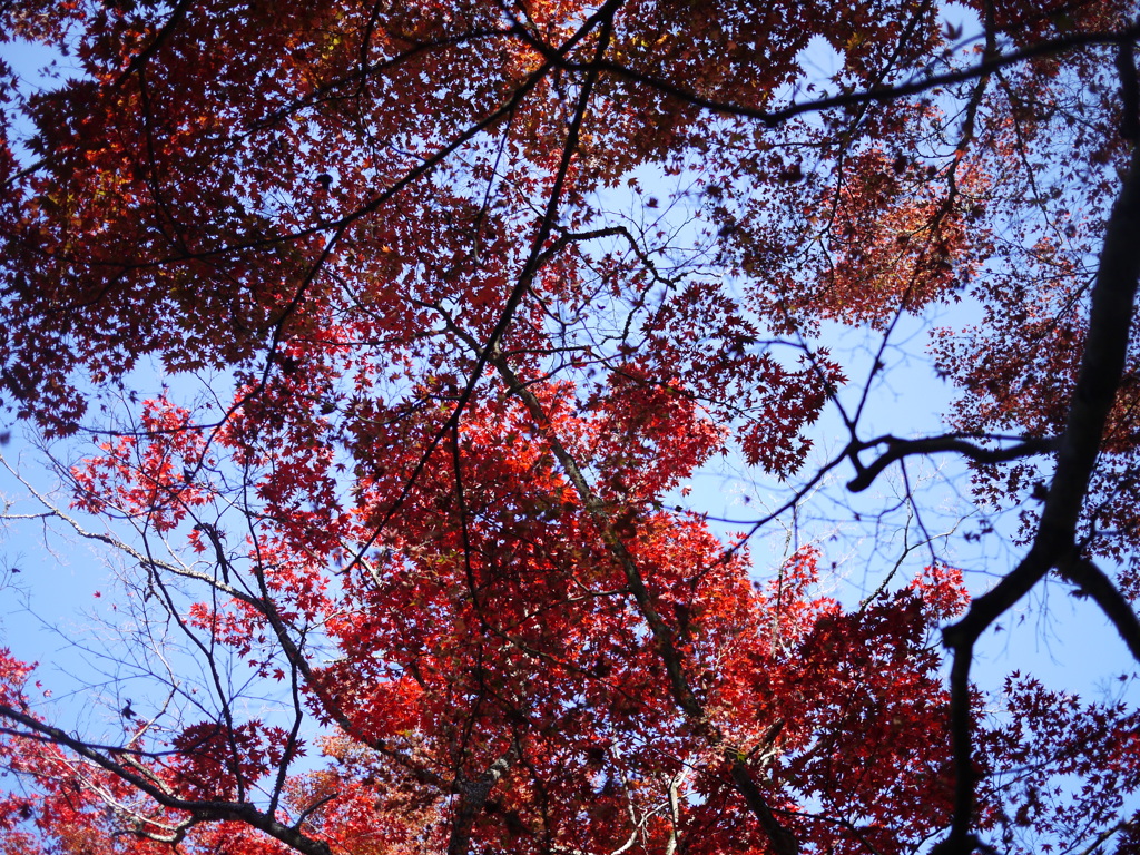 赤と空
