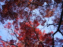 赤と空