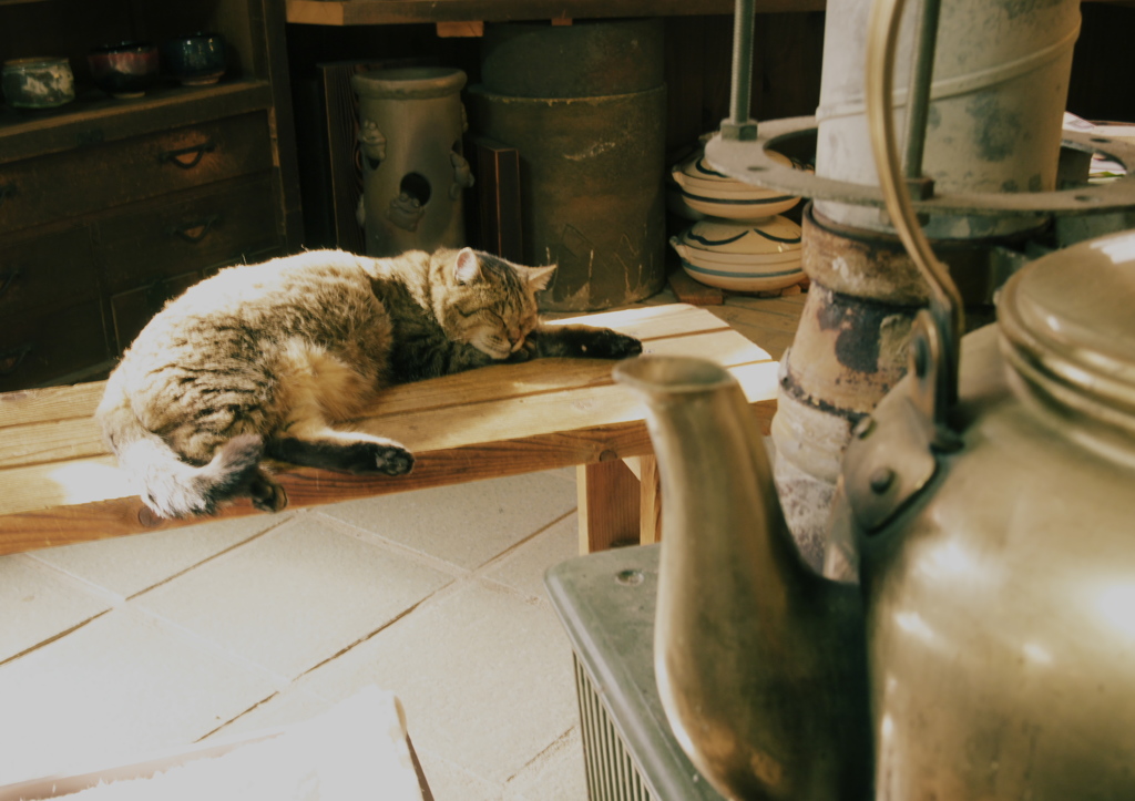 やかんと猫