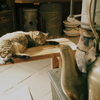やかんと猫