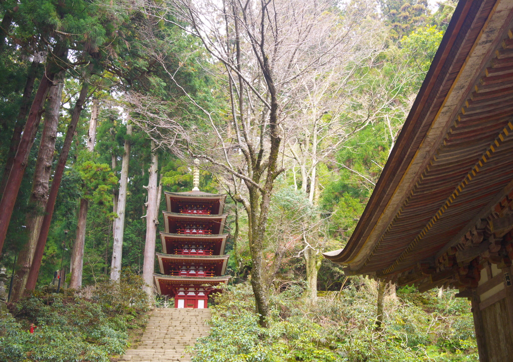 宝～室生寺～