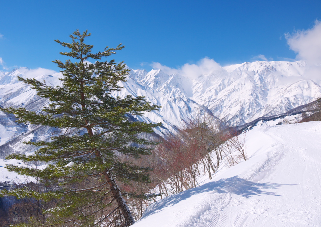 雪山